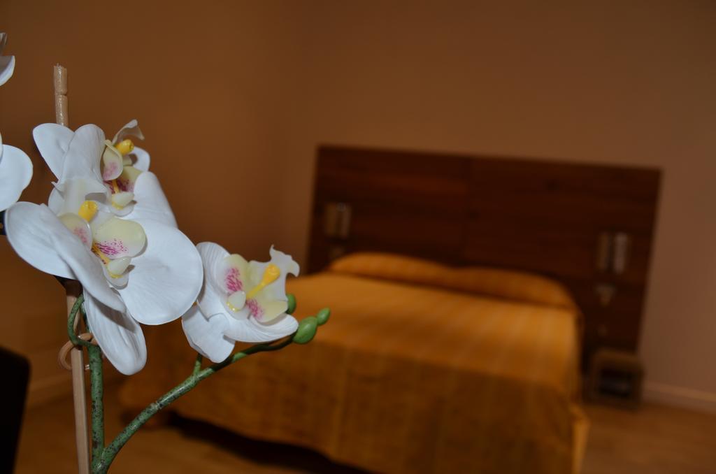 Bed and breakfast 5rooms Roma